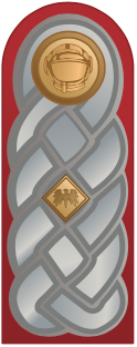 IAN%20O-5%20shoulder
